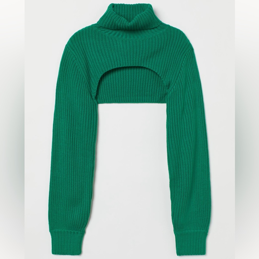 H&M Crop Ribbed Turtle Neck Sweater